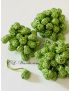 boutons aakads ( vert anis )