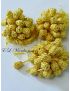 boutons aakads (jaune )