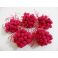 3QADS (JACAL) rose fushia.