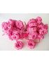 3QADS (CHAMCIA) Rose Bonbon.