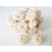 3QADS (CHAMCIA) Beige.