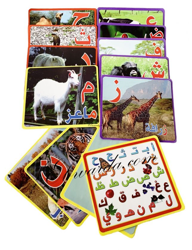 Pack de 15 carte pour apprendre les lettres l'alphabet arab