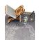 EXCELLENT PACK CADEAU ( hadiaty ) هديَّتي